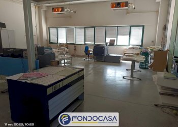 Foto 3 - Capannone Via della Bonifica, Maltignano - foto 3