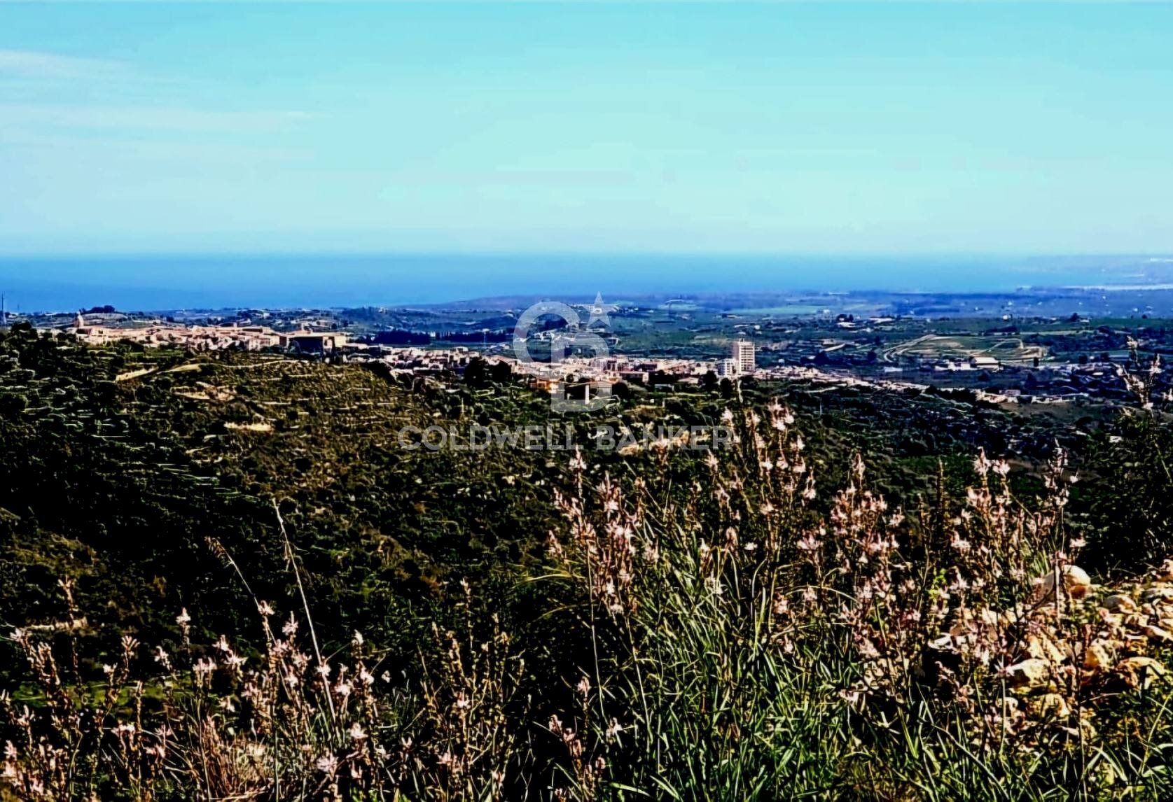 Foto 1 - Terreno agricolo Noto - foto 1