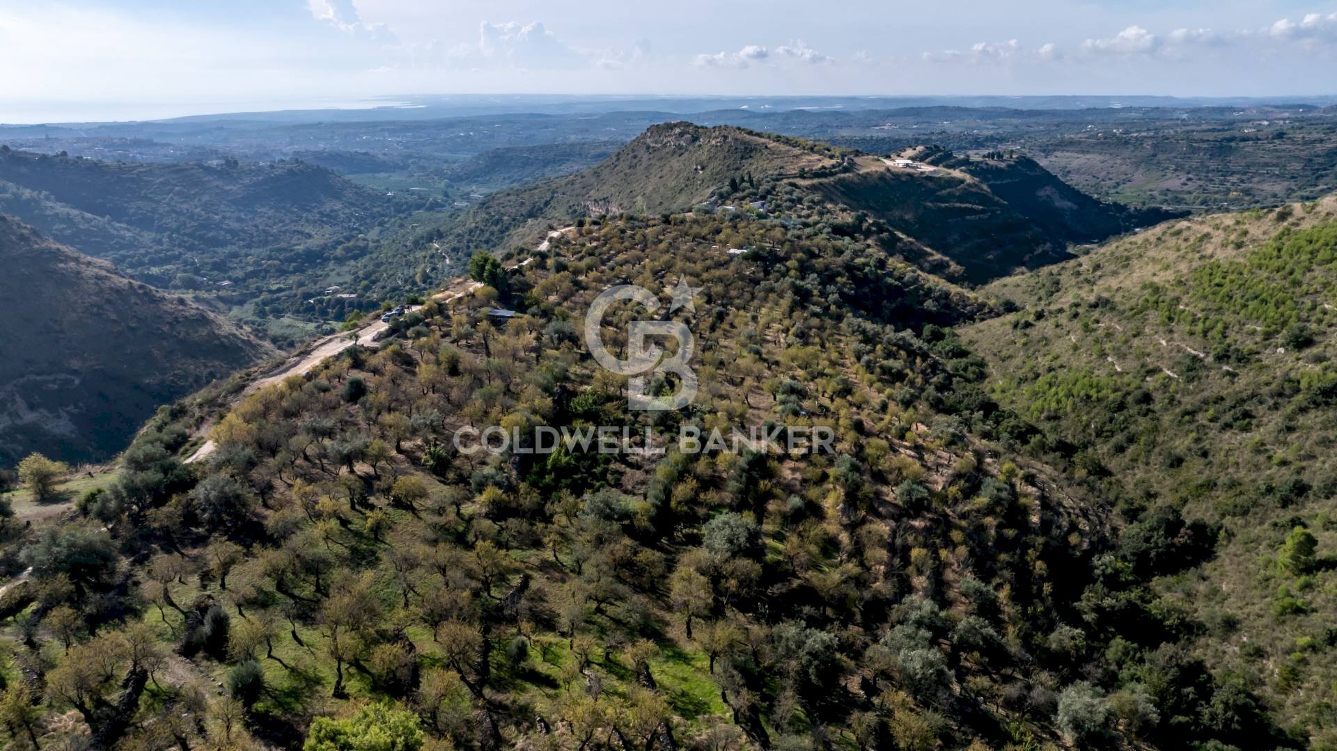 Foto 2 - Terreno agricolo Noto - foto 2