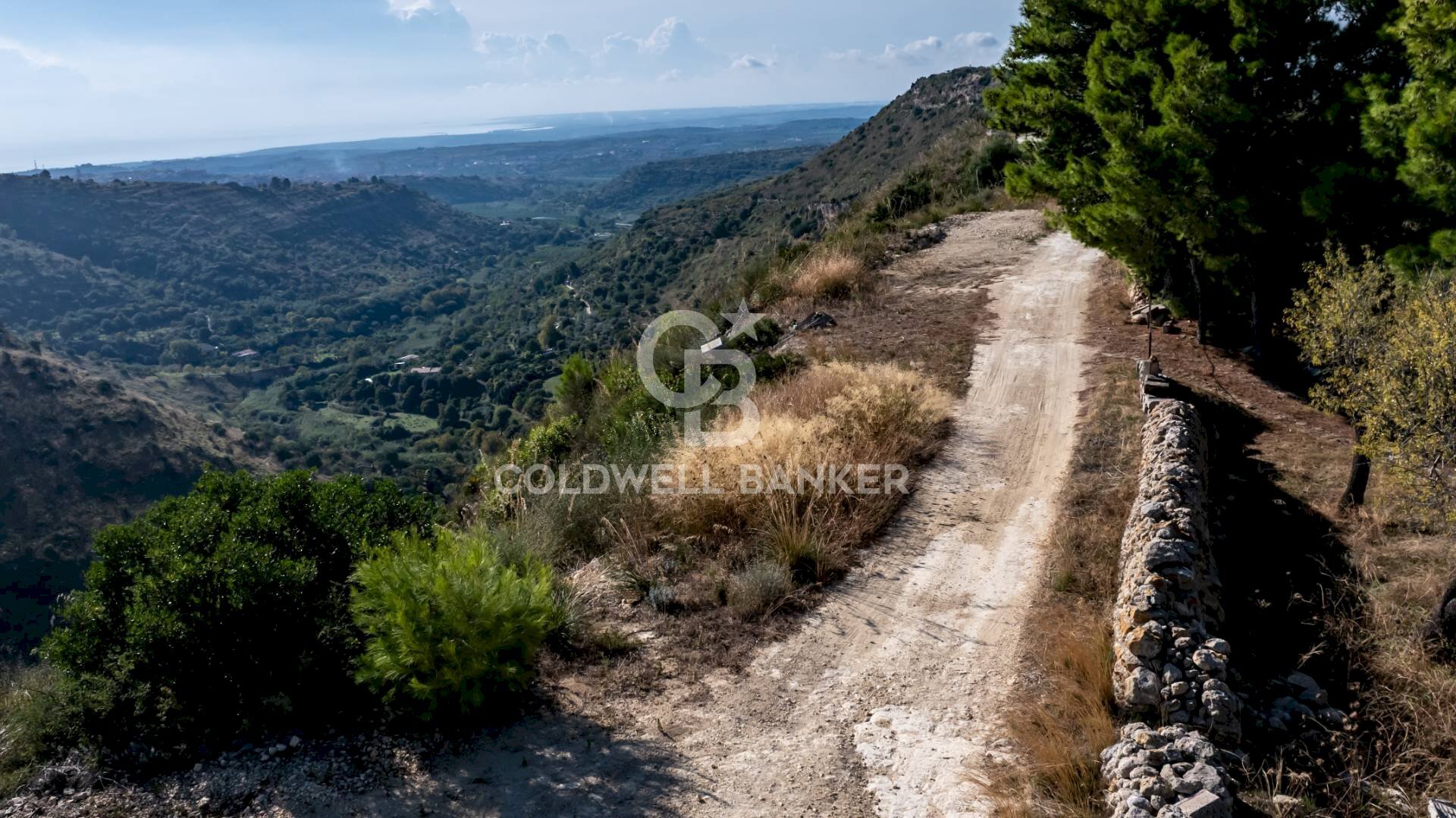 Foto 3 - Terreno agricolo Noto - foto 3