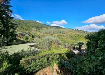 Vista - Villa via Montalbano, Carmignano - foto 6