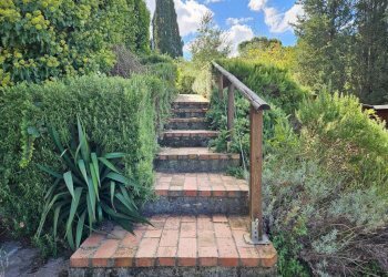 Giardino - Villa via Montalbano, Carmignano - foto 15