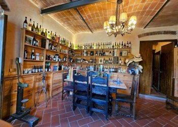 Salone - Villa via Montalbano, Carmignano - foto 17