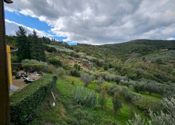 Vista - Villa via Montalbano, Carmignano - foto 41