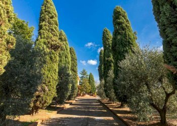 Terreno - Villa via Fontana Torta, Lanuvio - foto 18