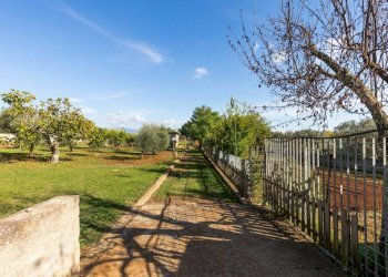 Terreno - Villa via Fontana Torta, Lanuvio - foto 19