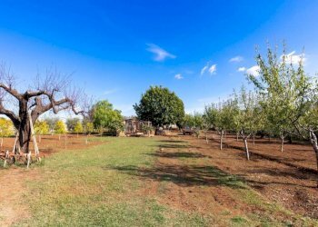 Terreno - Villa via Fontana Torta, Lanuvio - foto 22