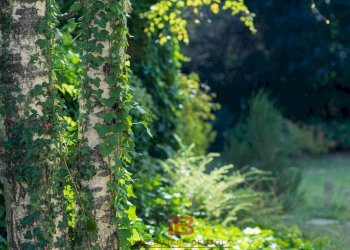 Foto 49 - Rustico VIA BIGORRA, Cuneo - foto 49