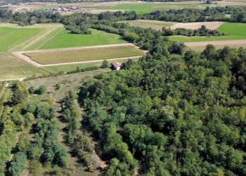 Vista - Rustic via Siccardi, 47, Salmour - photo 19