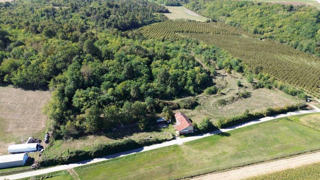 Terreno - Agricultural land via Siccardi, 47, Salmour - photo 2