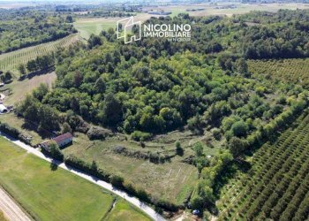 Terreno - Terreno agricolo via Siccardi, 47, Salmour - foto 1