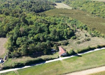 Terreno - Terreno agricolo via Siccardi, 47, Salmour - foto 2