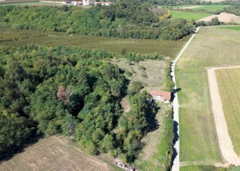 Terreno - Terreno agricolo via Siccardi, 47, Salmour - foto 3