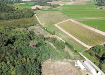 Terreno - Terreno agricolo via Siccardi, 47, Salmour - foto 4