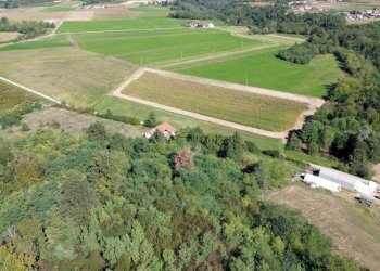 Terreno - Terreno agricolo via Siccardi, 47, Salmour - foto 5