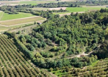 Terreno - Terreno agricolo via Siccardi, 47, Salmour - foto 7