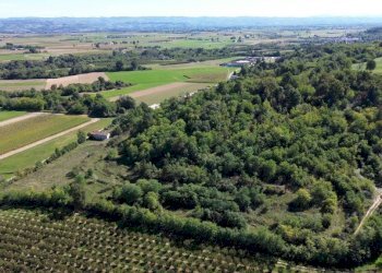Terreno - Terreno agricolo via Siccardi, 47, Salmour - foto 9
