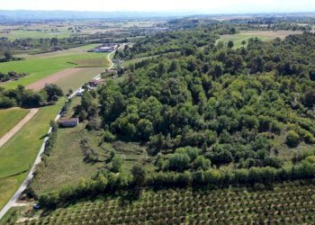 Terreno - Terreno agricolo via Siccardi, 47, Salmour - foto 10