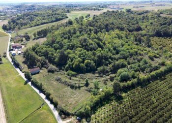 Terreno - Terreno agricolo via Siccardi, 47, Salmour - foto 11