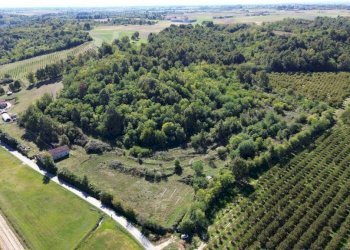 Terreno - Terreno agricolo via Siccardi, 47, Salmour - foto 12