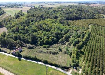 Terreno - Terreno agricolo via Siccardi, 47, Salmour - foto 13