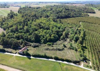 Terreno - Terreno agricolo via Siccardi, 47, Salmour - foto 14