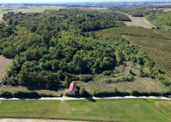 Terreno - Terreno agricolo via Siccardi, 47, Salmour - foto 15