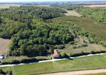 Terreno - Terreno agricolo via Siccardi, 47, Salmour - foto 16