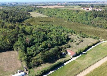 Terreno - Terreno agricolo via Siccardi, 47, Salmour - foto 17