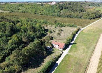 Terreno - Terreno agricolo via Siccardi, 47, Salmour - foto 18
