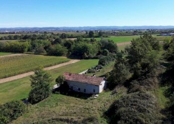 Terreno - Terreno agricolo via Siccardi, 47, Salmour - foto 19