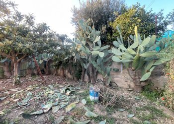 Foto 40 - Casa semi indipendente VIA ESTERNA FONTANA DEL LUPO
 
8/A, Monreale - foto 40