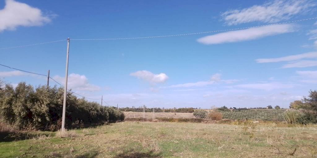 Terreno - Agricultural land via Regio Tratturo, Nova Siri - photo 3