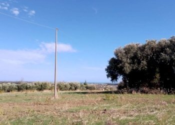 Terreno - Terreno agricolo via Regio Tratturo, Nova Siri - foto 1