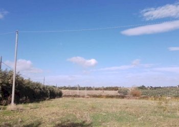 Terreno - Terreno agricolo via Regio Tratturo, Nova Siri - foto 3