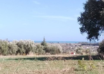 Terreno - Terreno agricolo via Regio Tratturo, Nova Siri - foto 5