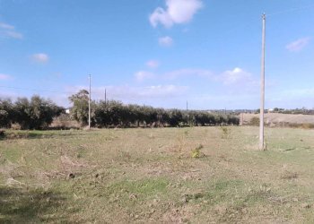 Terreno - Terreno agricolo via Regio Tratturo, Nova Siri - foto 6