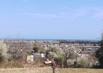 Vista - Terreno agricolo via Regio Tratturo, Nova Siri - foto 7