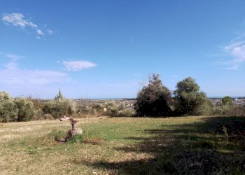 Terreno - Terreno agricolo via Regio Tratturo, Nova Siri - foto 8