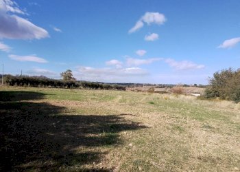 Terreno - Terreno agricolo via Regio Tratturo, Nova Siri - foto 9
