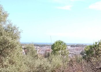 Vista - Terreno agricolo via Regio Tratturo, Nova Siri - foto 11