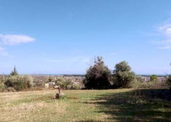 Terreno - Agricultural land via Regio Tratturo, Nova Siri - photo 6