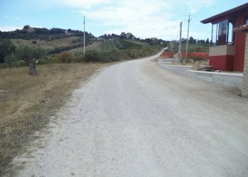 19 COLONNELLA- Vigneto di 12 ettari con casale e l - Terreno agricolo Colonnella - foto 20