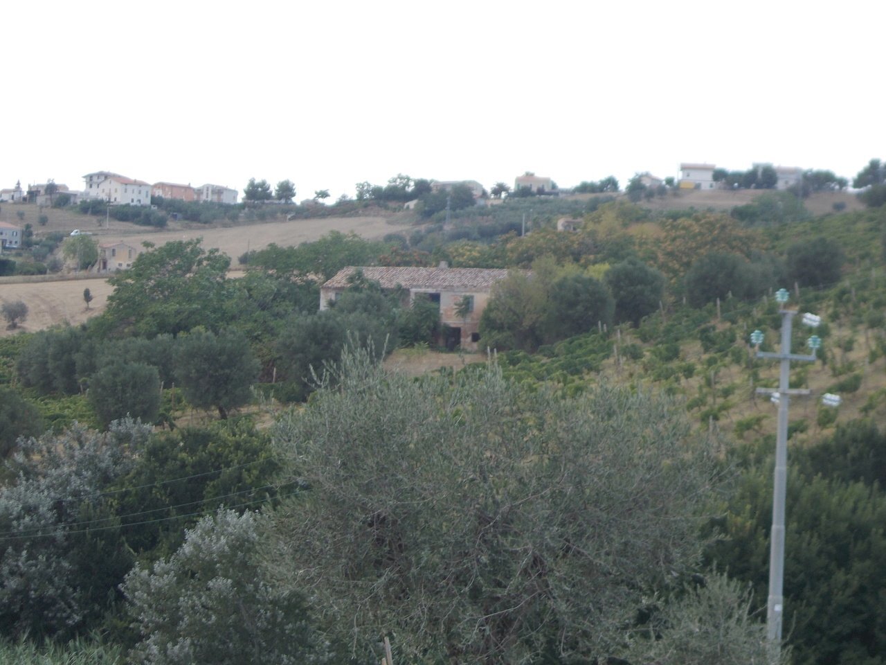 10 COLONNELLA- Vigneto di 12 ettari con casale e l - Casa indipendente Colonnella - foto 1