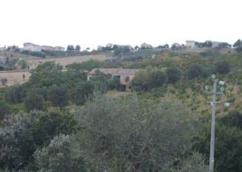 10 COLONNELLA- Vigneto di 12 ettari con casale e l - Casa indipendente Colonnella - foto 1