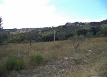 03 COLONNELLA- Vigneto di 12 ettari con casale e l - Casa indipendente Colonnella - foto 7