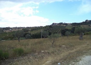 15 COLONNELLA- Vigneto di 12 ettari con casale e l - Casa indipendente Colonnella - foto 16