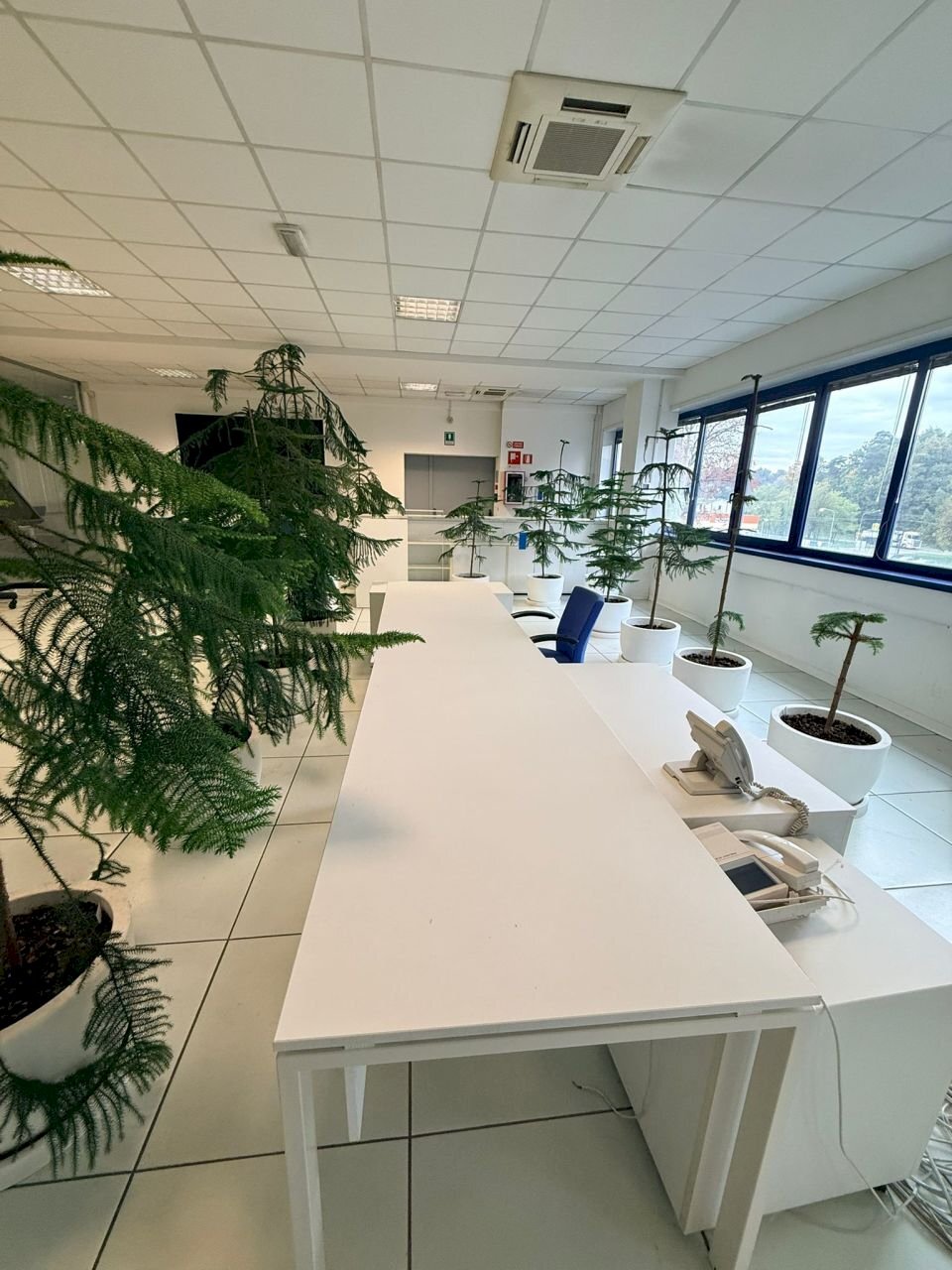 IMG-20251021-WA0029.jpg - Ufficio Via Sempione 30, Vergiate - foto 2