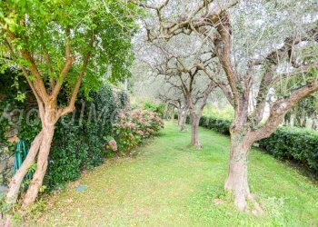 Via Dodino-27.jpg - Casa indipendente Via Dodino 40, Quiliano - foto 30