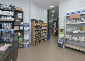 Respighi 1-3.jpg - Commercial Premises piazza respighi 5, Torino - photo 9